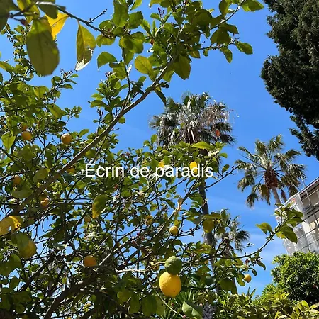 Apartment Casa Andrea Agreable T3 Avec Grand Jardin A 3mn De La