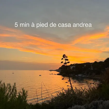 Casa Andrea Agreable T3 Avec Grand Jardin A 3mn De La * Sanary-sur-Mer